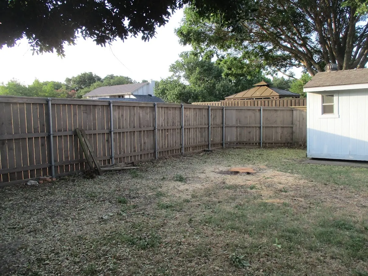 Cleared yard after professional tree removal in Boone Grove